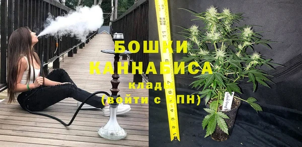 прущие грибы Арсеньев