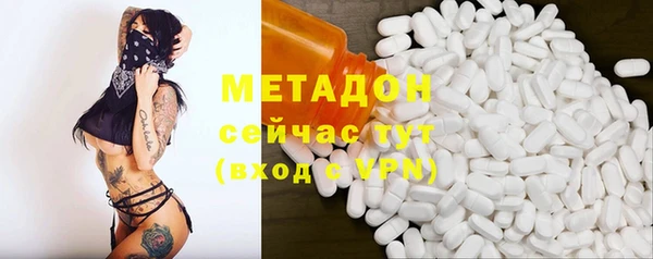 прущие грибы Арсеньев